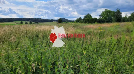 Baugrundstück - Haus kaufen in Eschweiler - Neubau-Einfamilienhaus in Eschweiler!