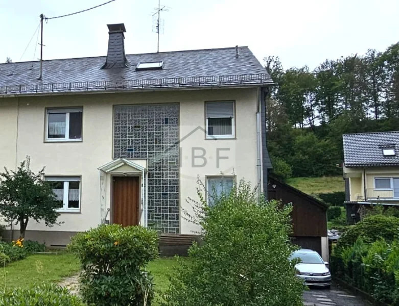 Außenansicht - Haus kaufen in Siegen - Mehrfamilienhaus (Doppelhaushälfte) in Siegen- Trupbach