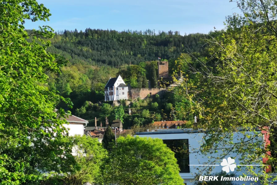 BERK Immobilien - Burgblick Miltenberg