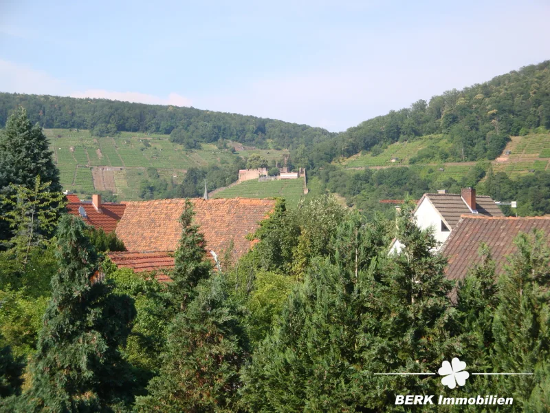 Ausblick auf die Weinberge