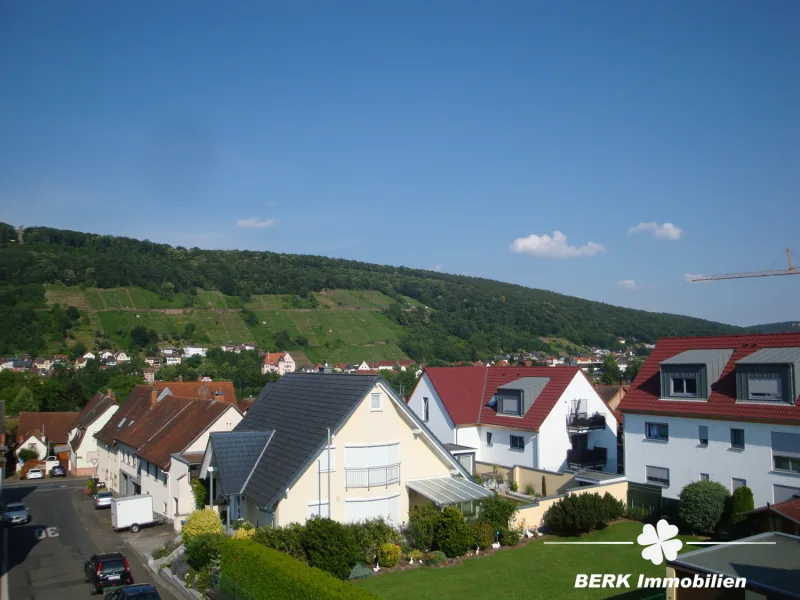 Ausblick Balkon DG