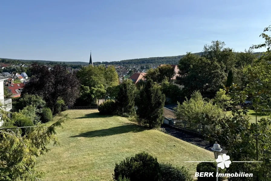 Fernblick - Haus kaufen in Aschaffenburg / Schweinheim - BERK Immobilien - Alte Unternehmervilla mit großem Grundstück in Bestlage von Schweinheim