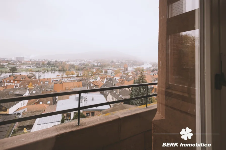 Blick auf Miltenberg vom Balkon