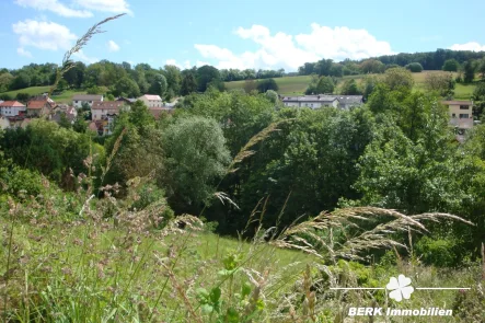 Ausblick - Grundstück kaufen in Lützelbach / Seckmauern - BERK Immobilien - Vielfältig bebaubares Grundstück in ruhiger Lage