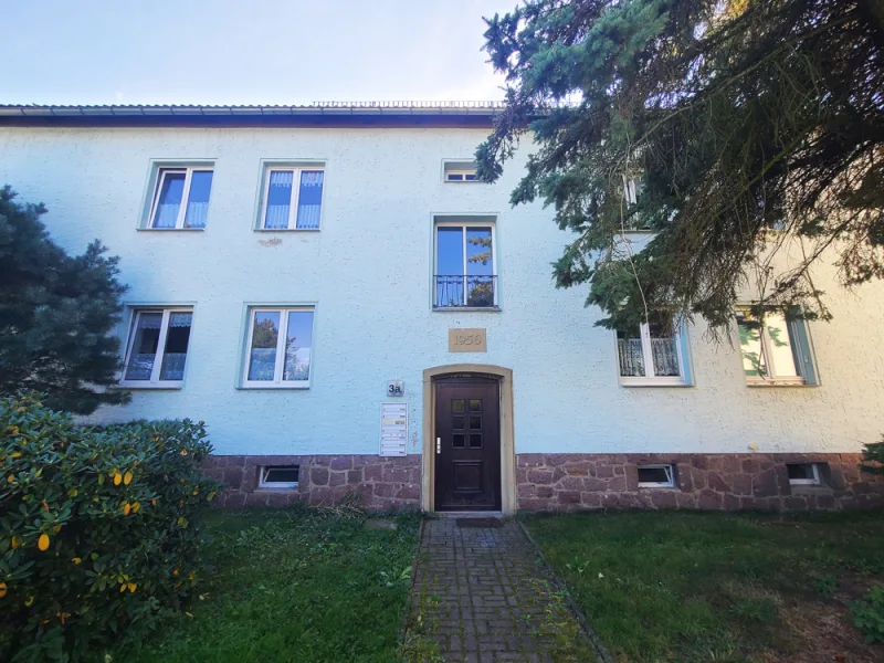 Hauseingang - Haus kaufen in Heynitz / Katzenberg - Kapitalanlage: Vollvermietetes Mehrfamilienhaus mit Mieterhöhungspotenzial