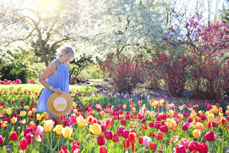 Tulpenbeet - Grundstück kaufen in Großröhrsdorf - Lassen Sie es blühen auf Ihrem Grundstück  im Wohnpark "Südblick" in Großröhrsdorf