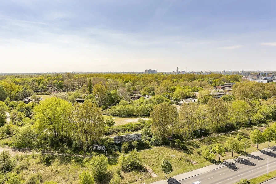 Blick auf den Tierpark