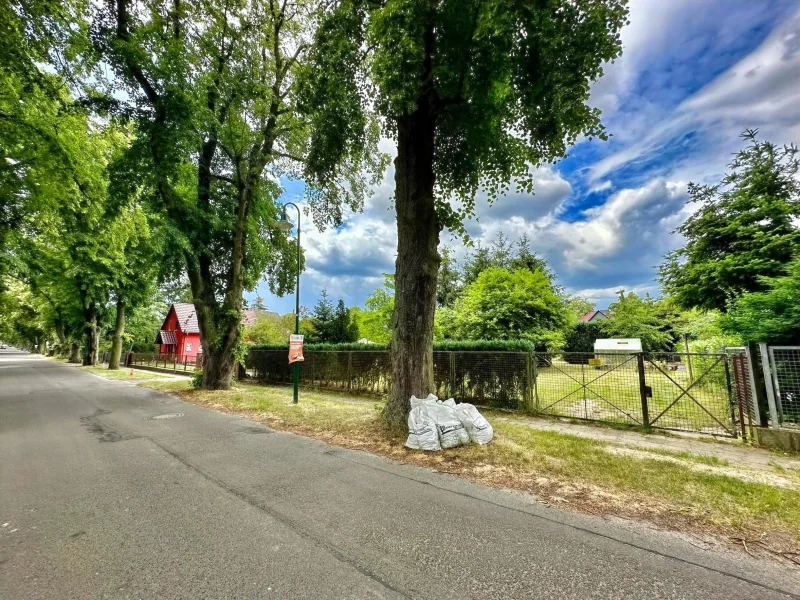 Straßenansicht des Grundstücks