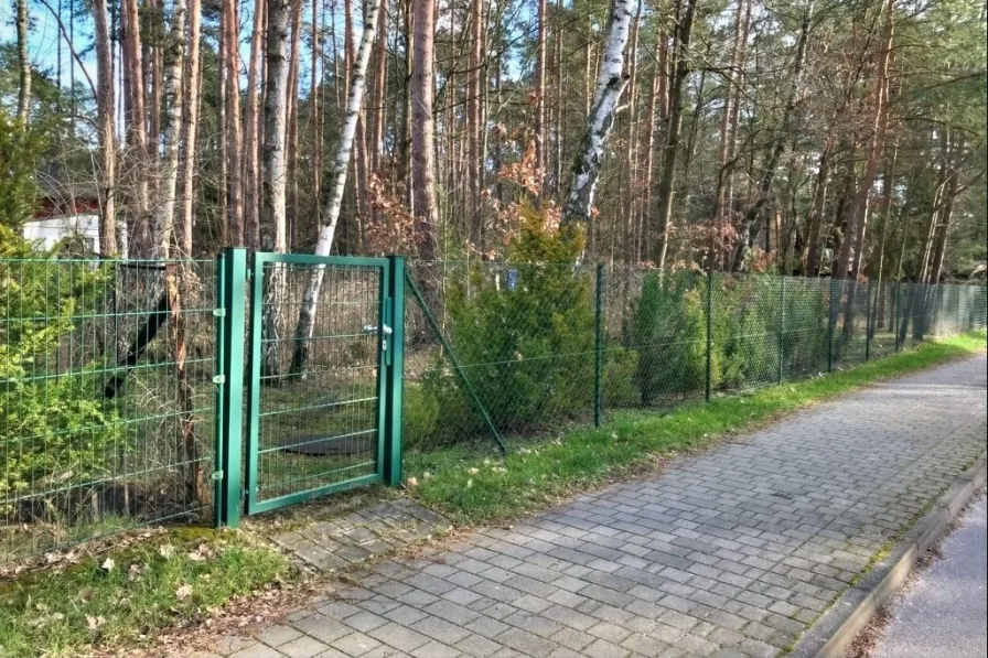 Grundstücksansicht mit Eingang - Grundstück kaufen in Eggersdorf - 729 m² großes Wohnbaugrundstück mit Wassernähe in Eggersdorf b. Berlin