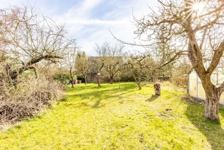 Sehr großer Garten - Grundstück kaufen in Berlin - 733 m² Baugrundstück- unvermessener hinterer Teil- im Buntzelkiez