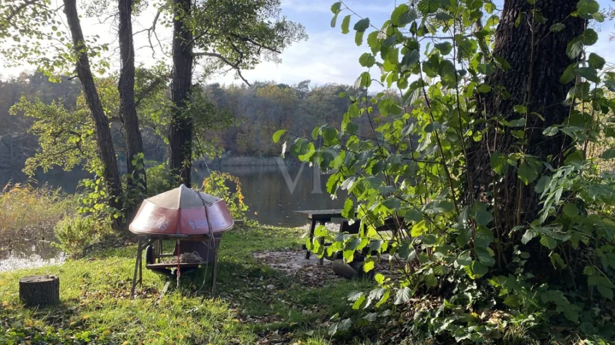 Zugang zum Wasser im Herbst