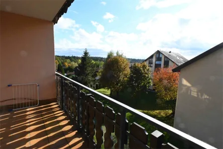 Balkon und Aussicht - Wohnung mieten in Bad Liebenzell - Ruhige, helle 1-Zimmer Wohnung mitten im Grünen