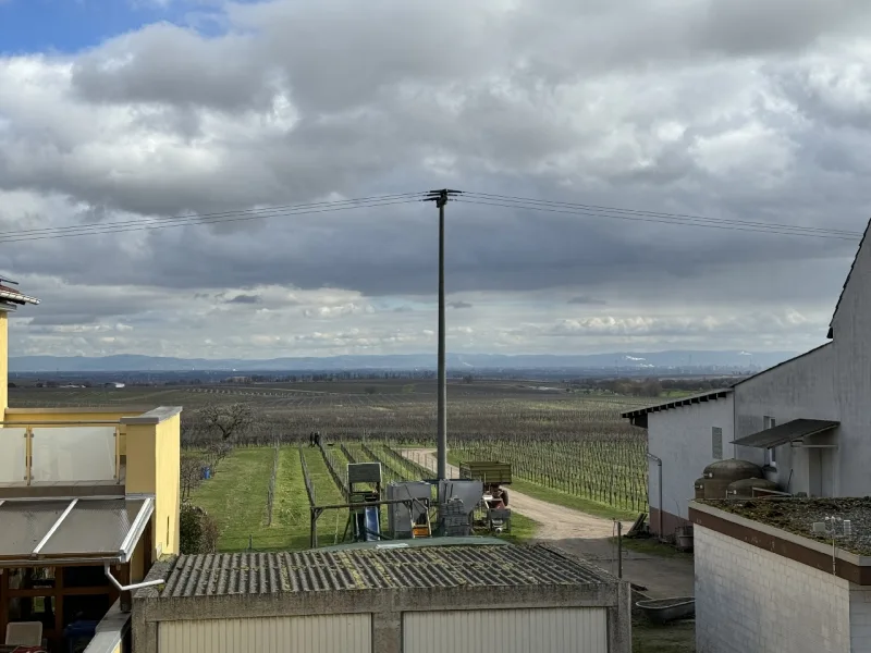 Blick aus dem Schlafzimmer