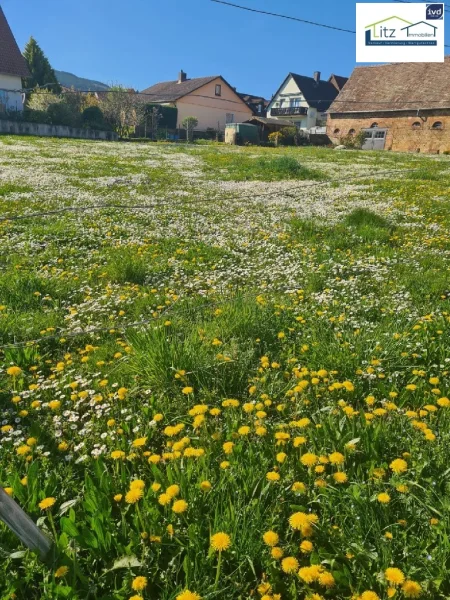 Ansicht Bauplatz - Grundstück kaufen in Edenkoben - Ruhig gelegener Bauplatz in Edenkoben