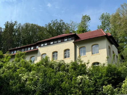 Objektansicht - Haus kaufen in Meissen - Vielseitig nutzbares Wohn- und Geschäftshaus am Rande der Meißner Altstadt