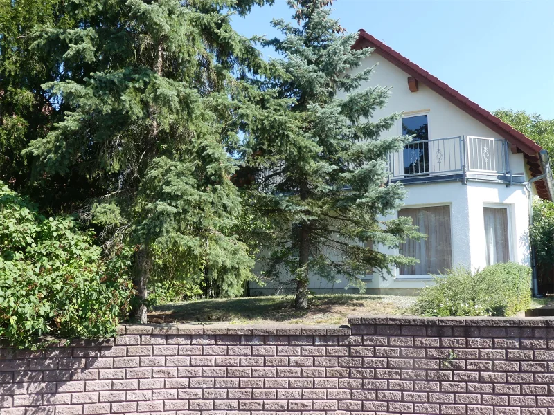 Ansicht Balkonseite - Haus kaufen in Meissen - Traumhafte Ruhe genießen - Wohnen in Meißen Oberspaar