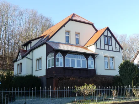 Hausansicht Winter - Haus kaufen in Meißen - Charmante Villa in ruhiger Stadtrandlage von Meißen