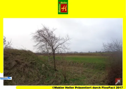 Landwirtschaftsfläche 1 - Grundstück kaufen in Belgern- Liebersee - Landwirtschaftsflächen in Belgern- Liebersee