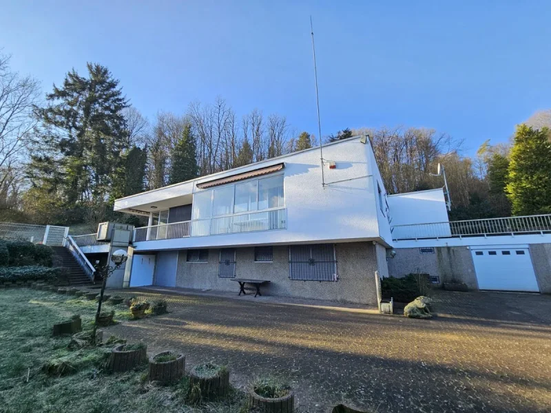 Außenansicht - Haus kaufen in Blieskastel / Lautzkirchen - großzügiges Architektenhaus / viele Extras in ruhiger Waldrandlage von Blieskastel-Lautzkirchen