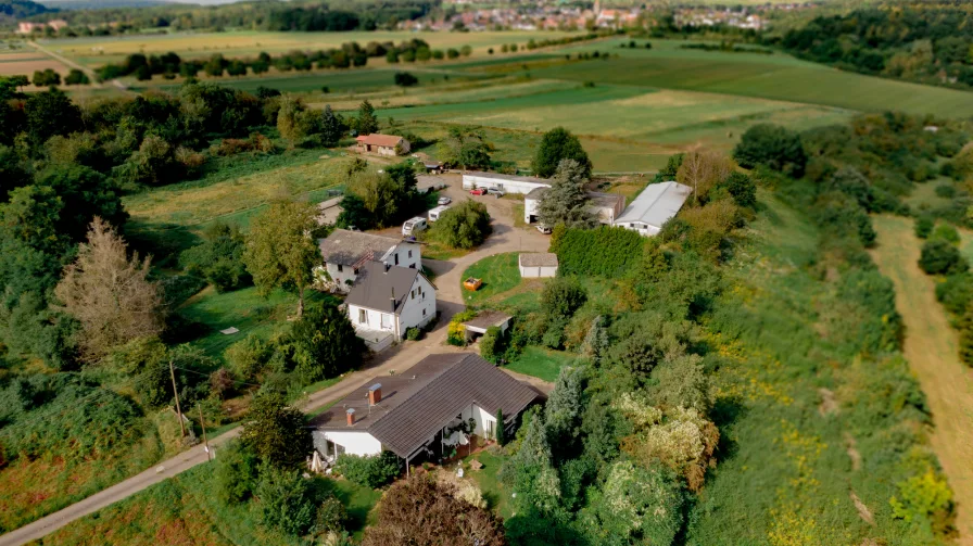  - Land- und Forstwirtschaft kaufen in Kleinblittersdorf - Achtung Pferdeliebhaber 20.000 m²-Gelände mit EFH, Stallungen und Hallen