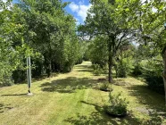 Garten mit schönen Baumbestand