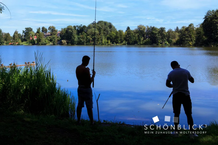 Schönblick3_Angler_Bauernsee