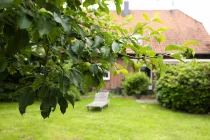 Blick zur Terrasse