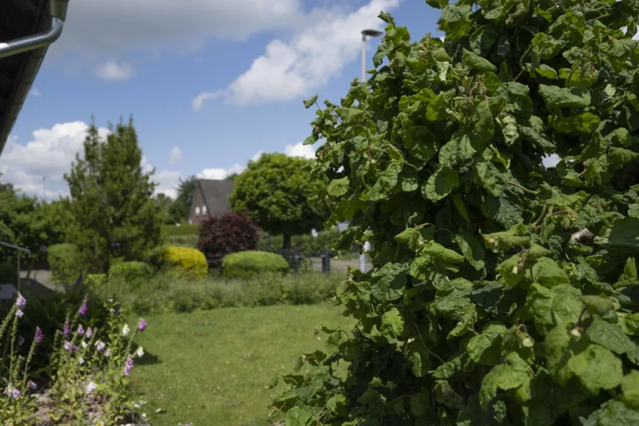 Blick zur Straßenseite