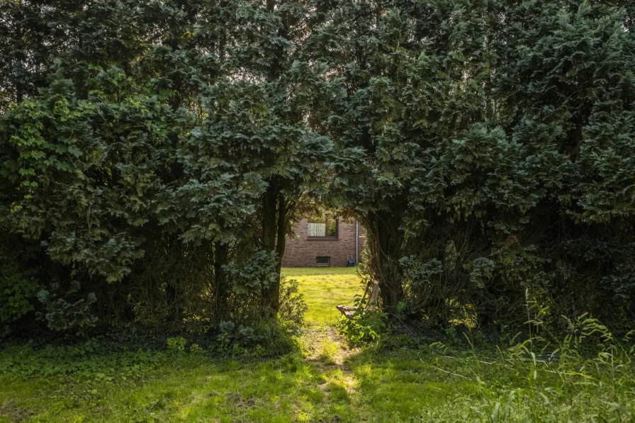 Garten - Haus kaufen in Diepholz - Viel Platz auf großem Grundstück!