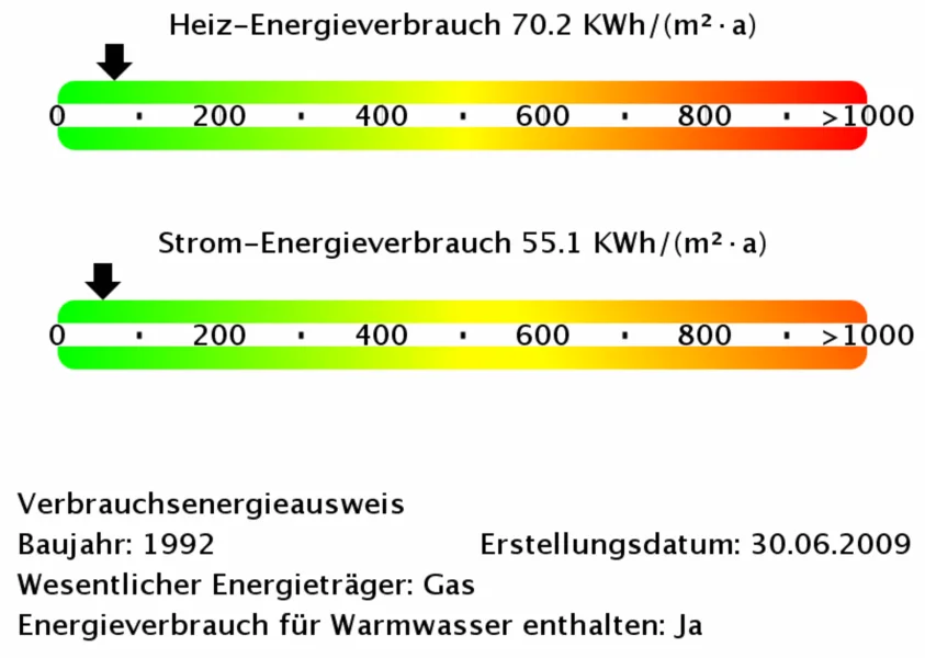 Energieverbrauchswerte 10313