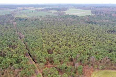 Waldgrundstück - Land- und Forstwirtschaft kaufen in Rotenburg (Wümme) - 27.914 m² Waldgrundstück zwischen Rotenburg und Hastedt