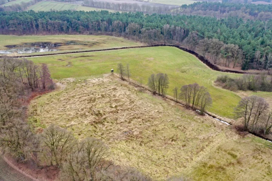 Drohnenaufnahme - Land- und Forstwirtschaft kaufen in Rotenburg (Wümme) - Direkt an der Wiedau! Großzügiges Grünland mit Baumbestand