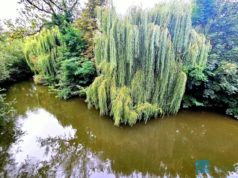 Ausblick zum Wasser