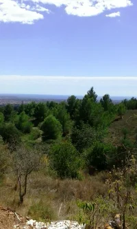  - Grundstück kaufen in Castellvell del Camp - albero:) Panoramalage im Priorat - 100km bis Barcelona