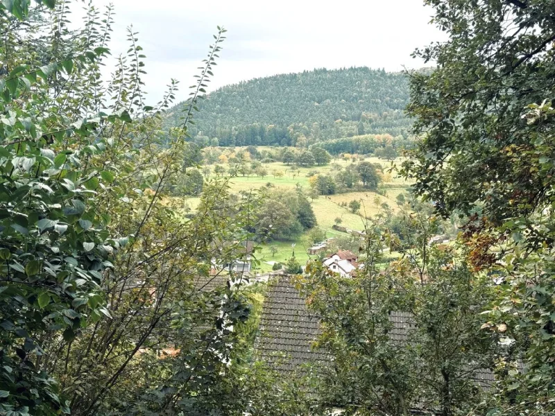 Weitblick von der Terrasse