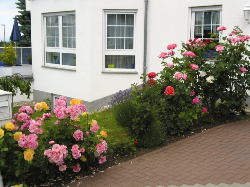 Blumenauer(c) Eingangsbereich - Haus kaufen in Glashütten - Charmante Doppelhaushälfte in Glashütten