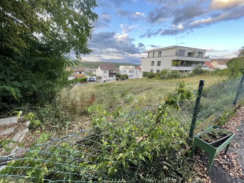 Blumenauer (c) - Grundstück - Grundstück kaufen in Kelkheim (Taunus) - Herrliches Grundstück direkt im Taunus!