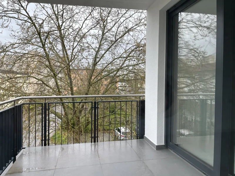 Blumenauer (c) - Balkon - Wohnung kaufen in Hattersheim am Main - Luxus im 2.OG