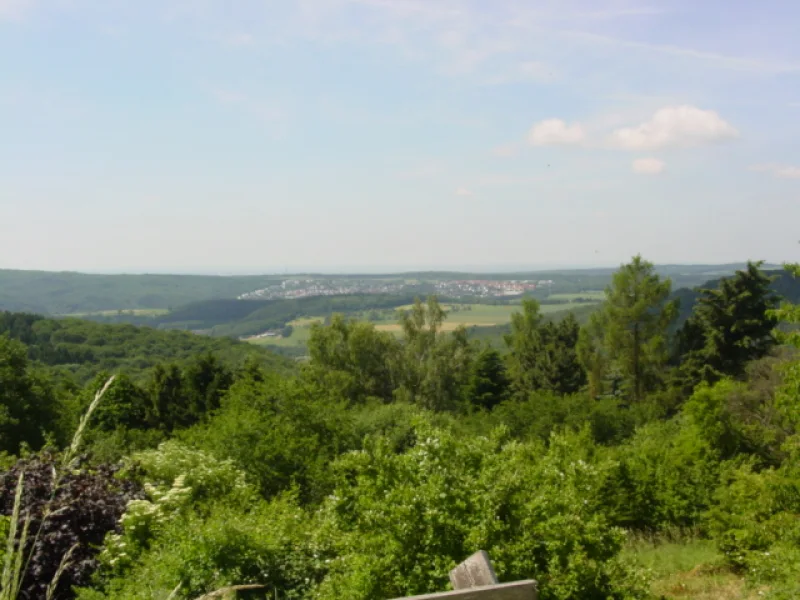 Blick - Grundstück kaufen in Kelkheim  - Baugrundstück mit einem traumhaften Blick über den Taunus