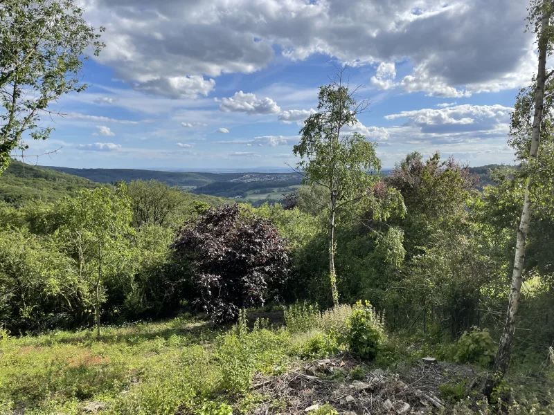 Fernblick - Grundstück kaufen in Kelkheim  - Baugrundstück mit einem traumhaften Blick über den Taunus