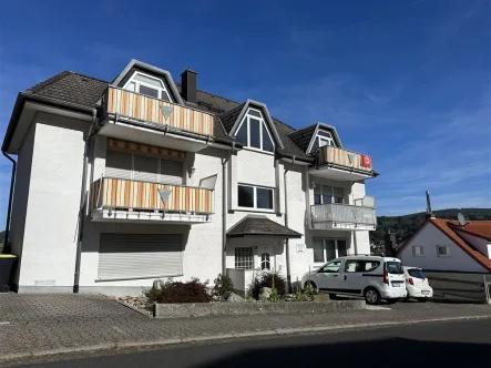 IMG_0487 - Haus kaufen in Bad Orb - Schönes gepflegtes Mehrfamilienhaus!