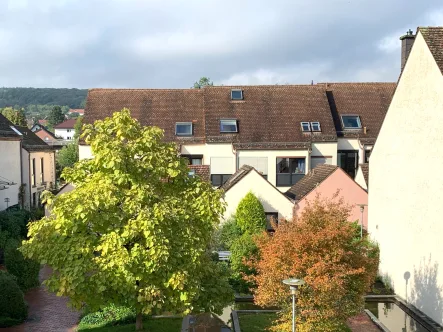 Überblick - Haus kaufen in Friedrichsdorf - FRIEDRICHSDORF: Atrium-Haus mit separatem Tiny House und viel Potential für die Familie!