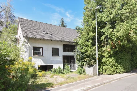 Hauansicht Straße , Fachingen - Haus kaufen in Fachingen - Großzügiges Einfamilienhaus mit ELW und Ausbaureserven