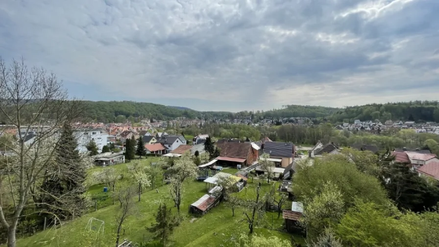 Blick in den Thüringer Wald