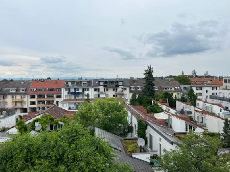 Ausblick  - Wohnung kaufen in Darmstadt - 2 Zi.-DG-Wohnung in Paulusviertel mit Traumhaften Ausblick.