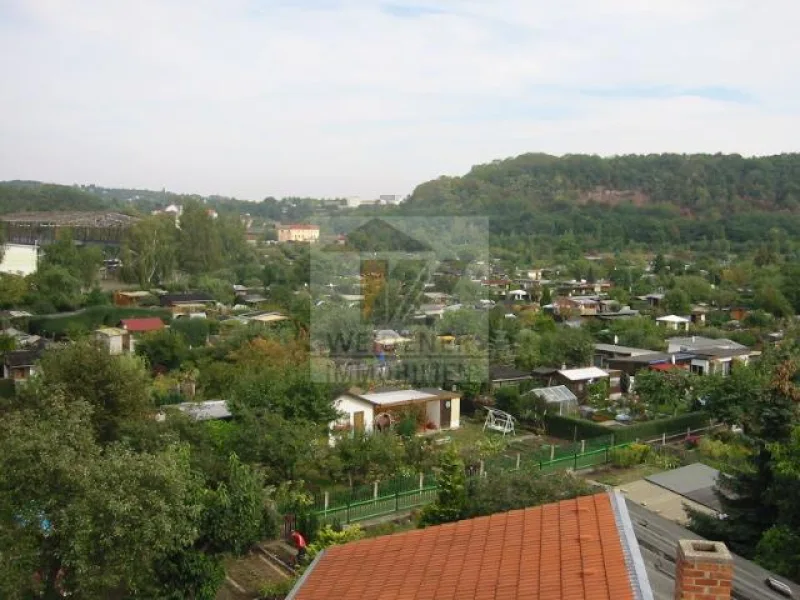 Gartenanlage hinter dem Haus