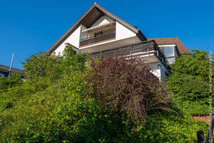 Blick vom Westen - Haus kaufen in Seeheim-Jugenheim - Wohnen in Seeheimer Hanglage mit Fernblick