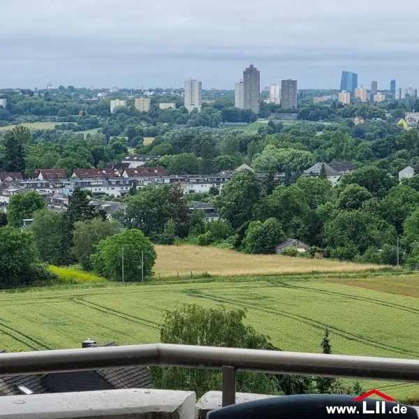 Ausblick