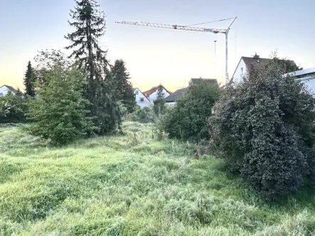 Ansicht - Grundstück kaufen in Griesheim - Unbebautes Baugrundstück in ruhiger Lage von Griesheim