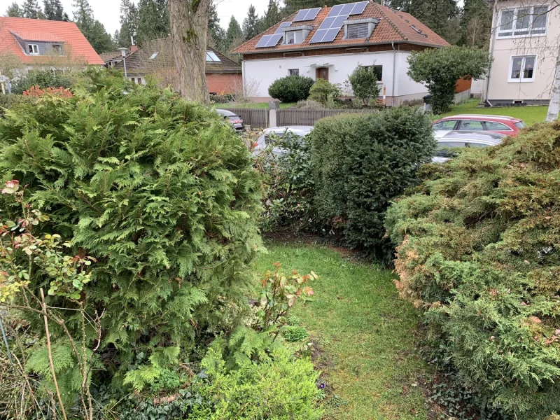 Blick in den Garten1